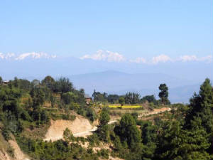 IMAG0114.jpg