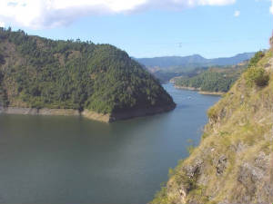 IMAG0169.jpg